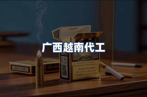 广西越南代工